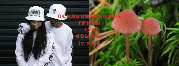меф Алексин