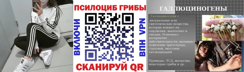 Галлюциногенные грибы GOLDEN TEACHER  Навашино 